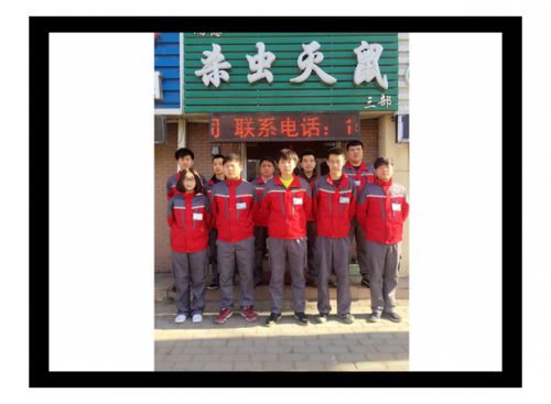 大连灭四害