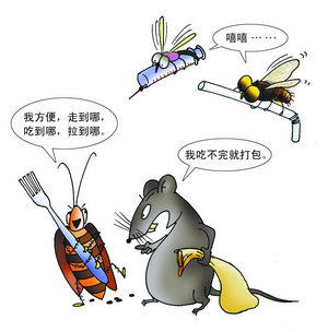 大连饭店除老鼠电话 