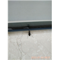 大连灭白蚁公司-大连灭白蚁专家 