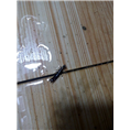 大连灭蚂蚁21 