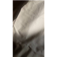 大连灭白蚁公司10 