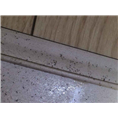 大连灭蟑螂就找大连瑞德灭蟑螂公司2 