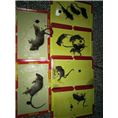 大连灭鼠就找13889652104刘师傅 