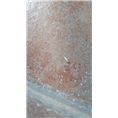 大连灭鼠公司1 