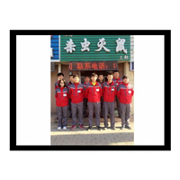 大连市白蚁防治┃大连市杀虫公司◆ 
