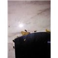 大连灭蟑螂专家 