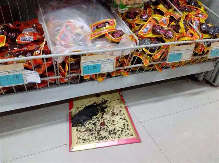 大连灭老鼠公司 