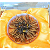 荣　县回收虫草，荣　县可以上门回收酒 