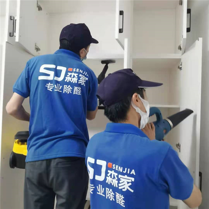 兰州专业室内甲醛治理公司