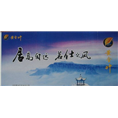 【机场登机牌广告】大连机场广告 