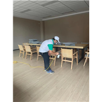 宁波学校甲醛治理