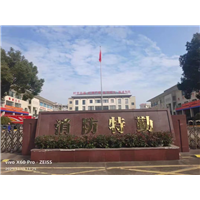 消防大队除甲醛