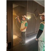 宁波专业室内除甲醛