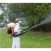 永州灭白蚁 永州灭苍蝇 