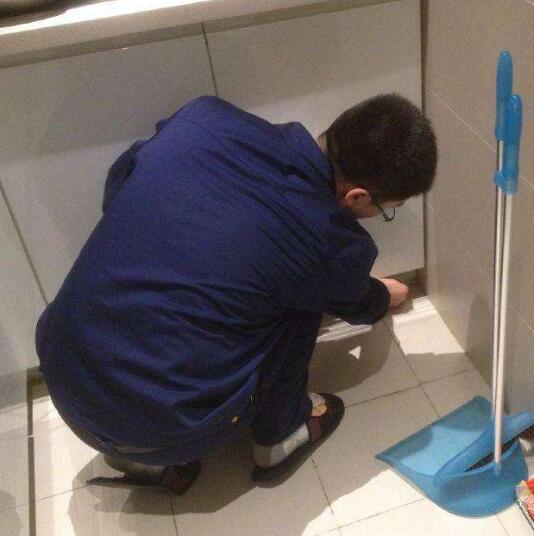 永州白蚁防治 永州灭鼠电话 