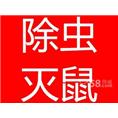 永州灭鼠公司 永州灭蟑螂 