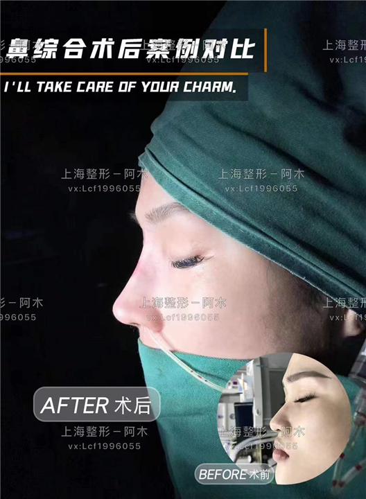 上海美丽之星