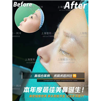 上海美丽之星