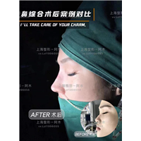上海美丽之星