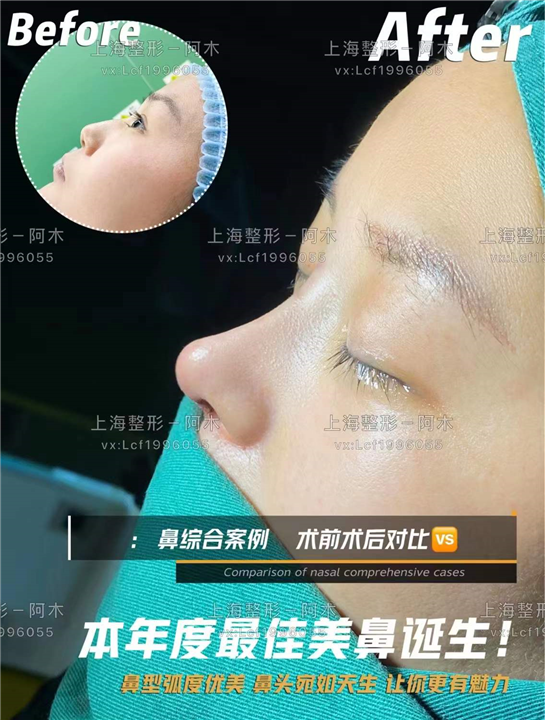 上海美丽之星