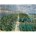 河北暖风炉厂家出售价格_河北暖风炉批发商 