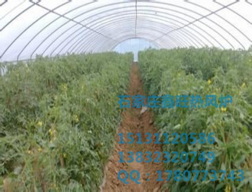 河北新喜热风炉加工厂电话 