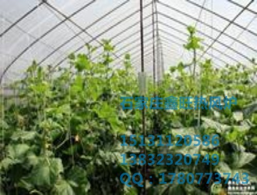 石家庄热风炉加工厂 