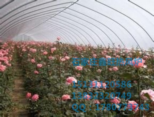 藁城市新喜热风炉加工厂家 