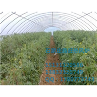 河北种植大棚专用热风炉生产厂家 