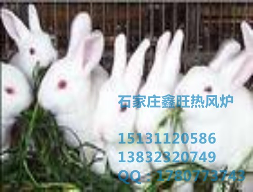河北畜禽供暖设备厂家直销 