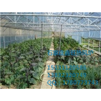 邯郸种植大棚专用热风炉专业供应商 