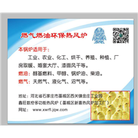 石家庄种植热风炉 