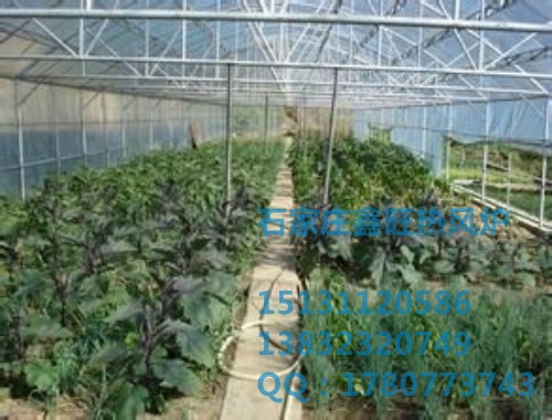 河北暖风炉厂家出售价格_河北暖风炉批发商 