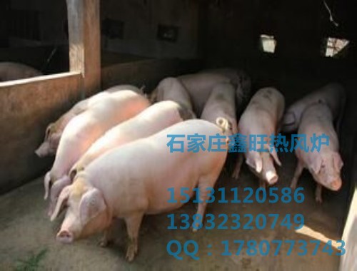 石家庄鸡舍供暖设备厂家 
