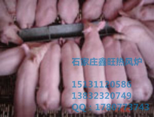 河北（畜禽热风炉设备）供应商电话 