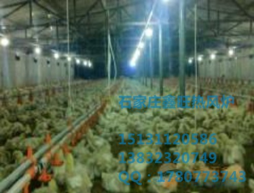 新乐养殖专用鸡舍供暖设备价格 
