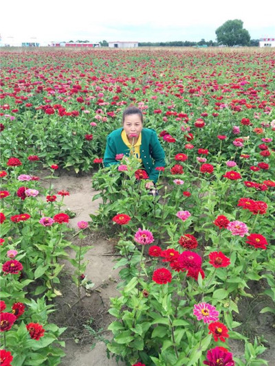 张北草原天路农家乐,张北草原附近农家乐 