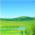 张北中都草原度假村※草原旅游攻略49 
