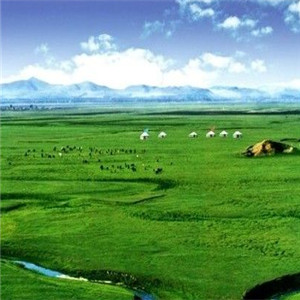138坝上草原哪里的风景好★坝上草原 