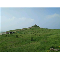 张北天路自驾游攻略,张北中都草原住宿 