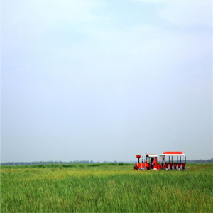 张北草原住宿★张北坝上草原农家乐11 