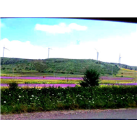 张北草原住宿哪家好,张北坝上草原农家乐 