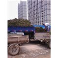山东滨州绿化草坪卷#沧州高羊茅草皮 