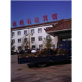 沧州绿化草坪卷#德州绿化草坪卷 