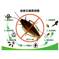江门消杀|江门专业消杀 