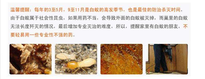 江门苍蝇|江门灭白蚁 