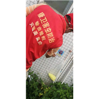 江门灭蚊虫