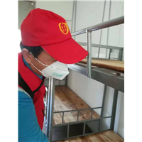 江门饭店灭鼠