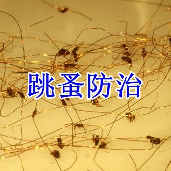 江门除四害|江门灭四害 