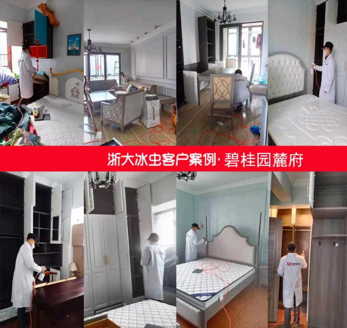 株洲甲醛治理之碧桂园麓府